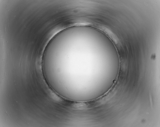 X0000103971186200809191527