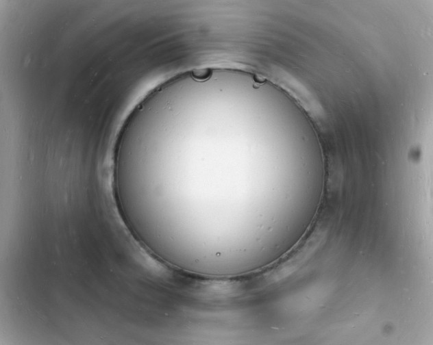 X0000103971188200809191527