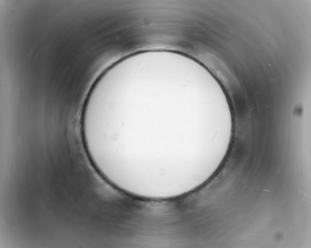 X0000103971189200809191527