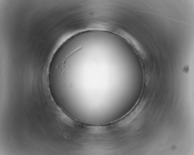 X0000103971192200809191527