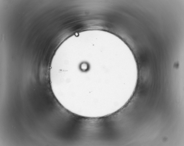 X0000103971193200809191527