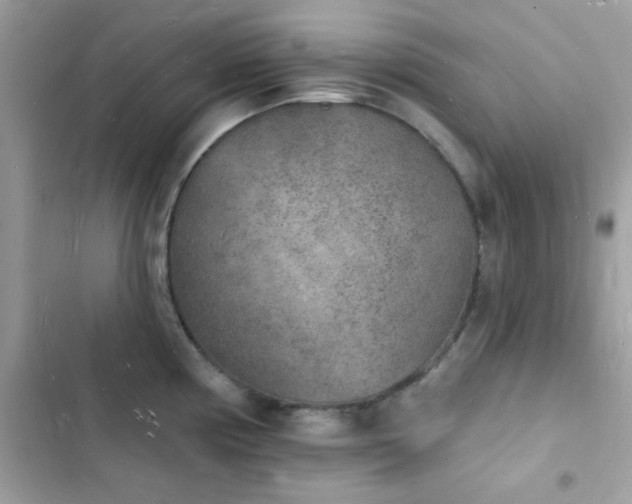 X0000103971194200809191527