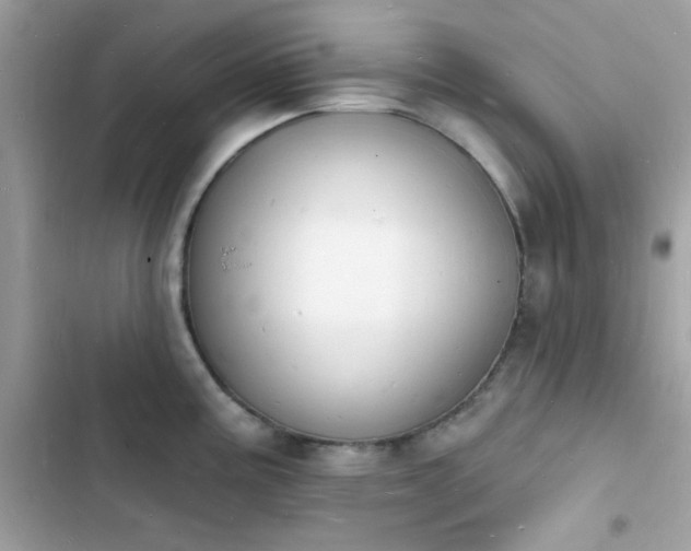 X0000103971195200809191527