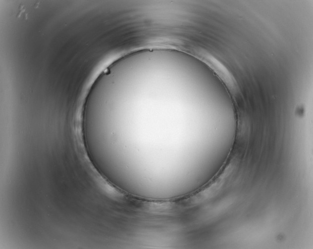 X0000103971196200809191527