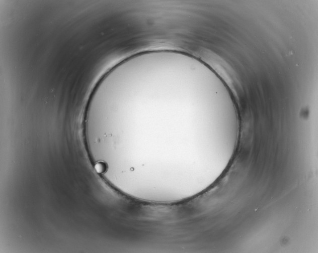 X0000103971197200809191527