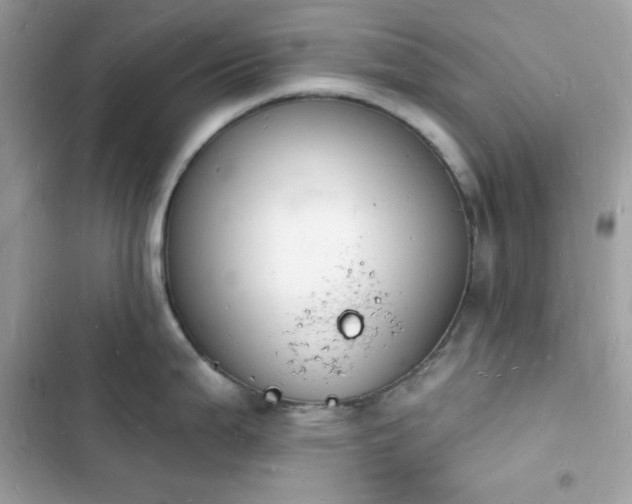 X0000103971199200809191527