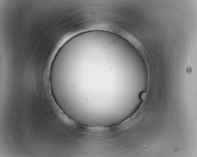 X0000103971200200809191527