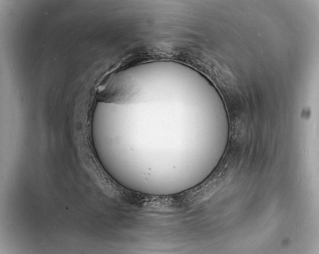 X0000103971201200809191526