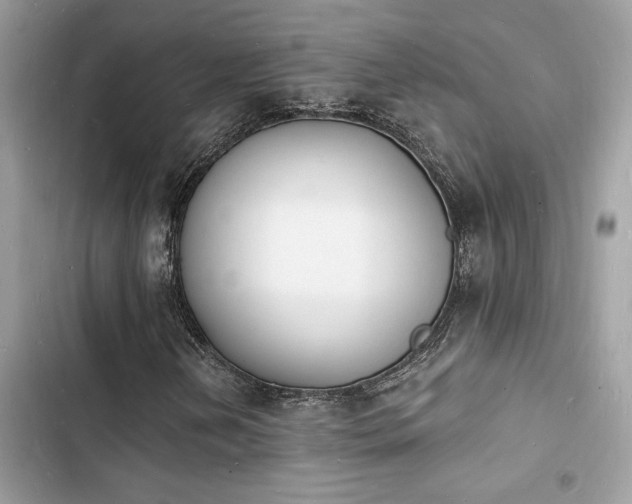 X0000103971202200809191526