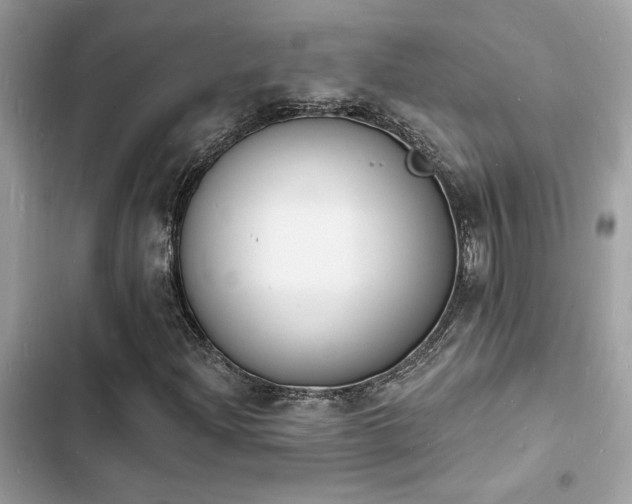 X0000103971204200809191526