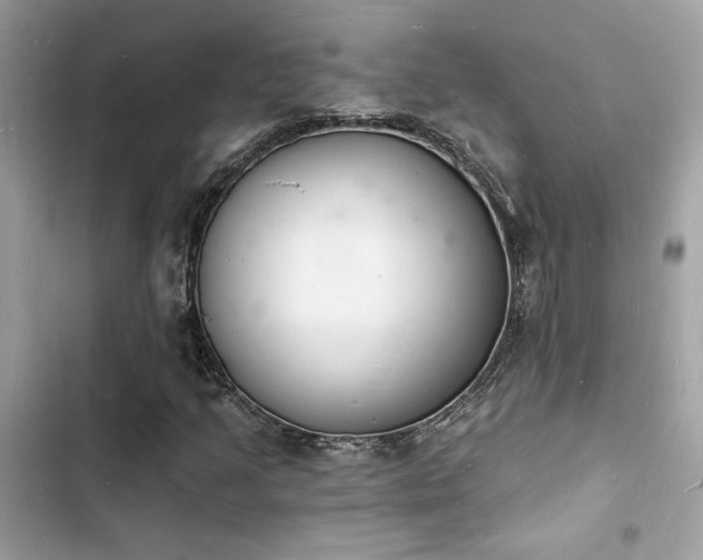 X0000103971205200809191526