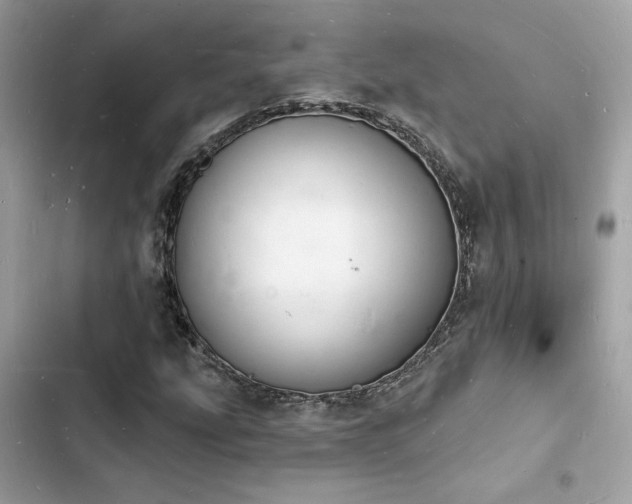 X0000103971207200809191526