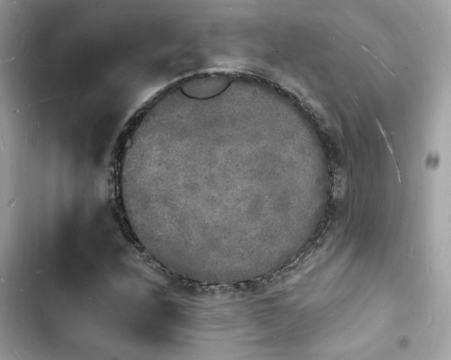 X0000103971208200809191526