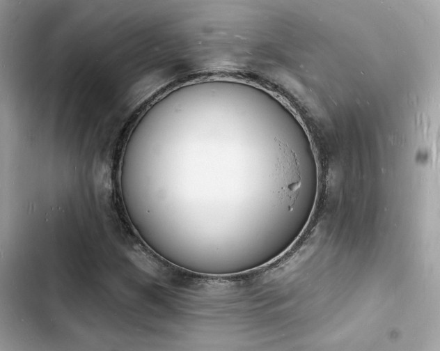 X0000103971209200809191526