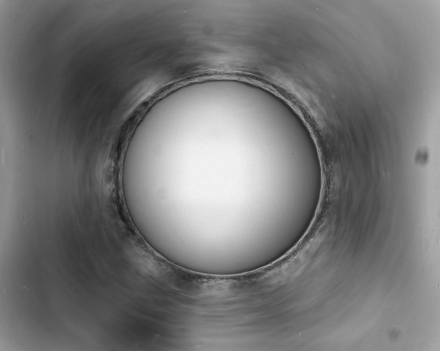 X0000103971211200809191526