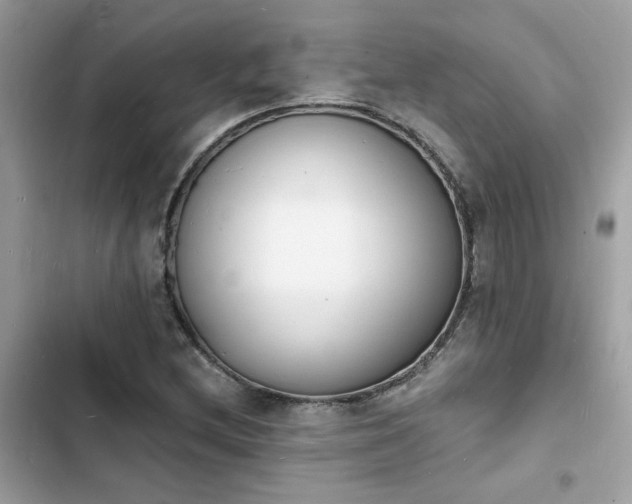 X0000103971212200809191526