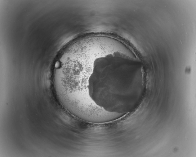 X0000103971213200809191526