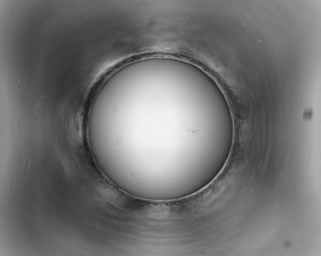 X0000103971214200809191526