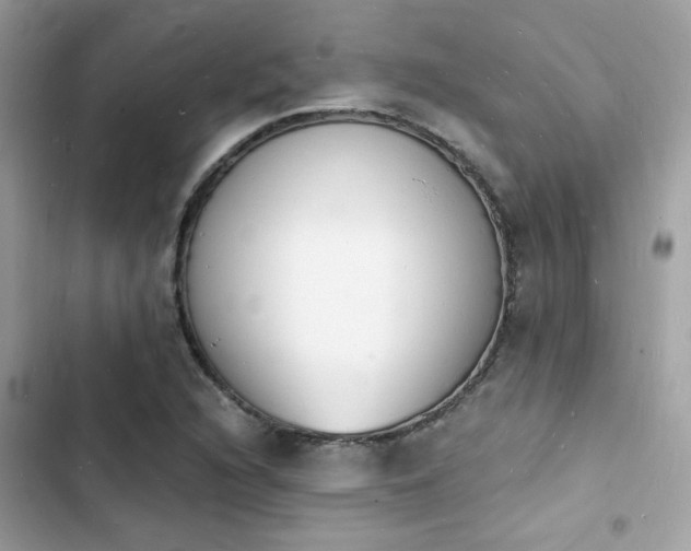 X0000103971216200809191526