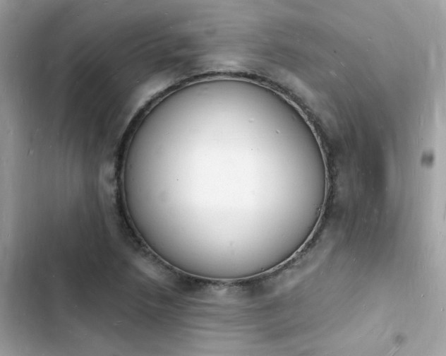 X0000103971218200809191526