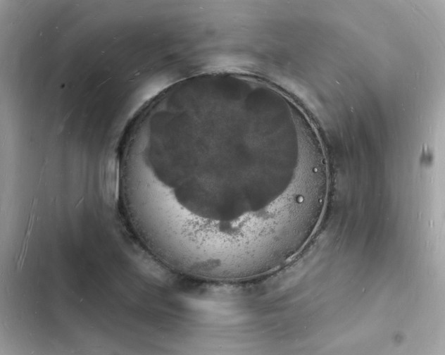 X0000103971219200809191526