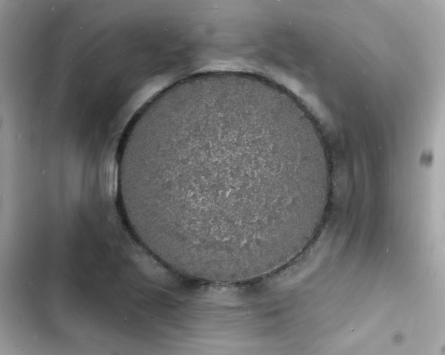 X0000103971221200809191526