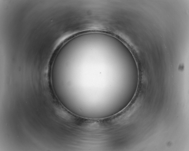 X0000103971222200809191526