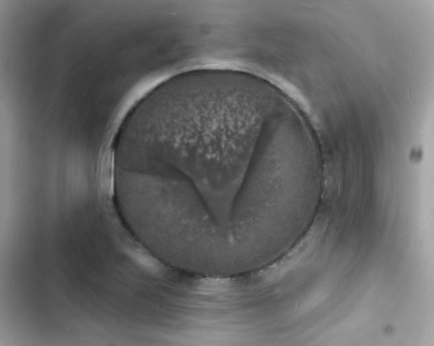 X0000103971223200809191526