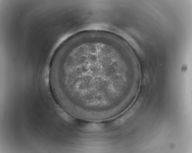 X0000103971224200809191526