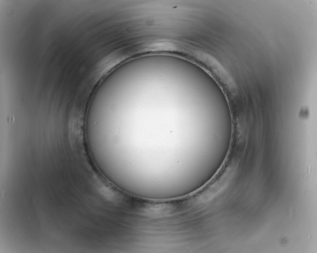 X0000103971225200809191526