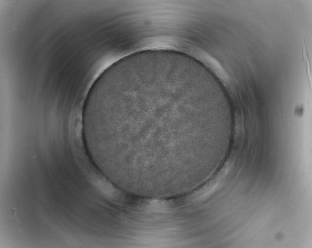 X0000103971226200809191526