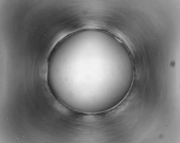 X0000103971227200809191526