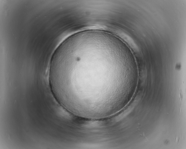 X0000103971228200809191526