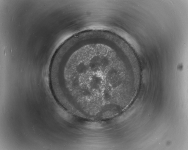 X0000103971229200809191526