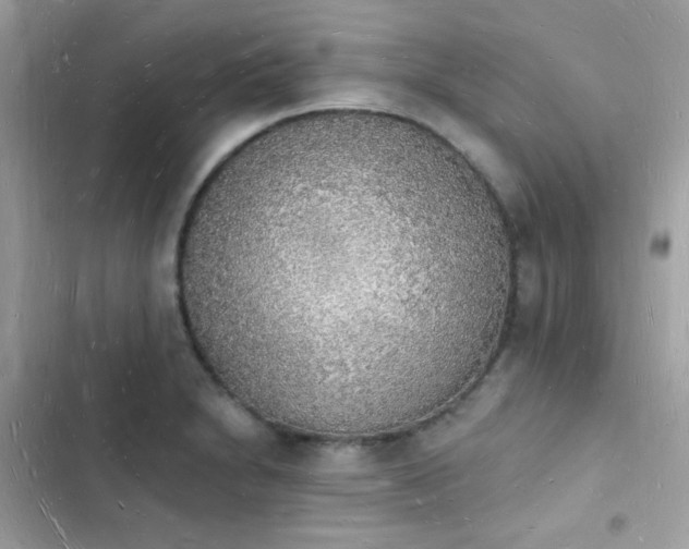 X0000103971230200809191526