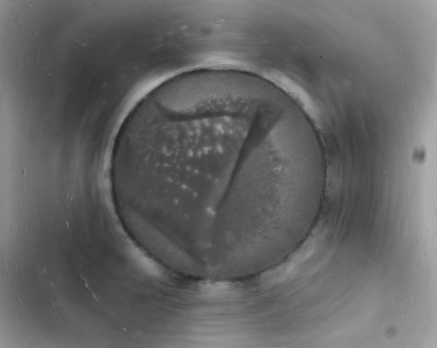 X0000103971231200809191526