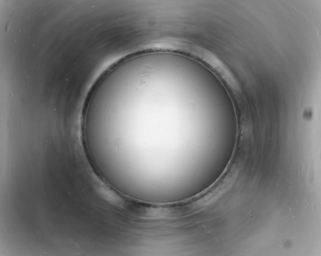 X0000103971232200809191527