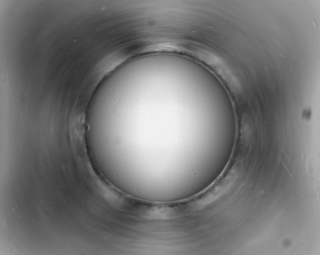 X0000103971233200809191527