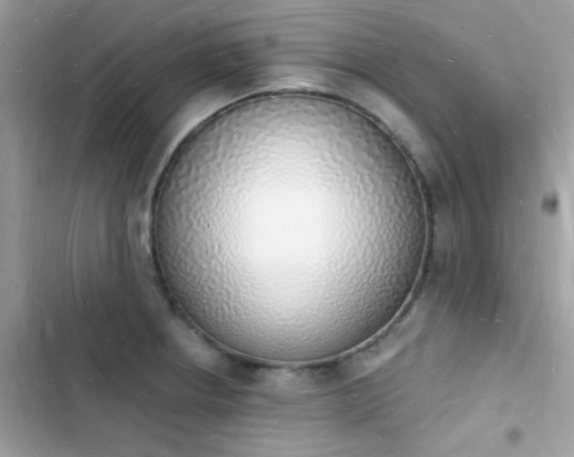 X0000103971234200809191527