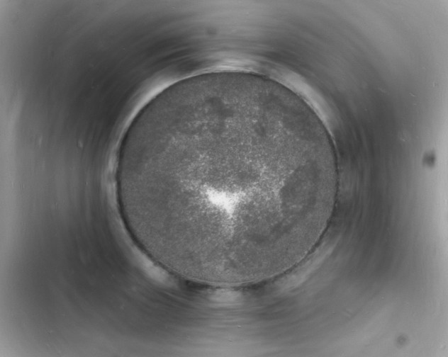 X0000103971235200809191527