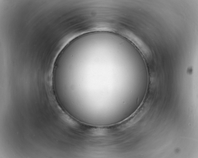 X0000103971236200809191527