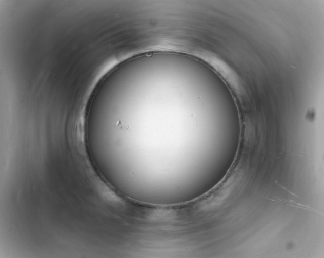 X0000103971238200809191527