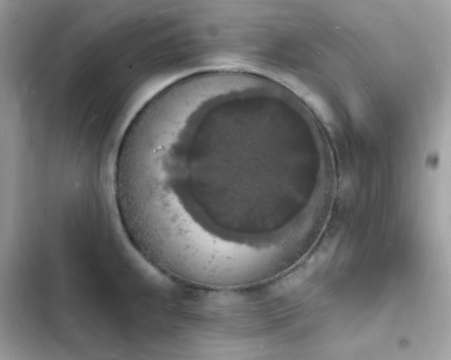 X0000103971239200809191527