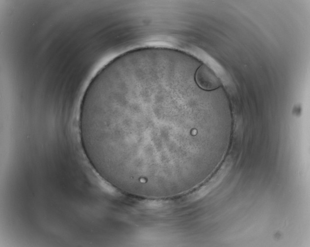 X0000103971240200809191527