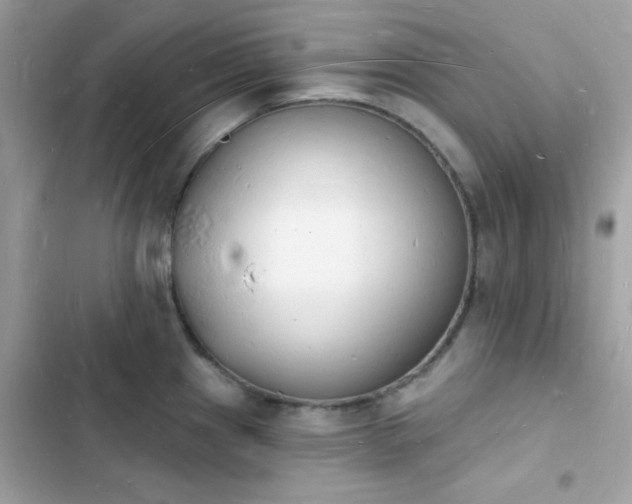 X0000103971241200809191527