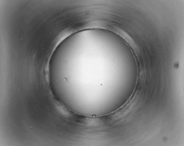 X0000103971242200809191527