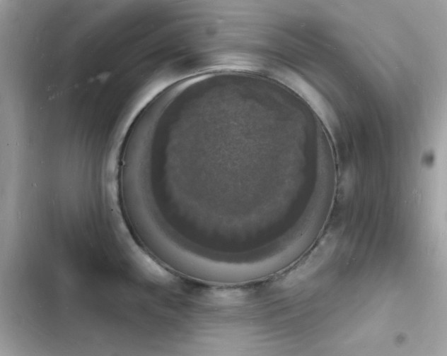 X0000103971243200809191527