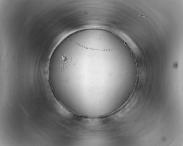 X0000103971244200809191527