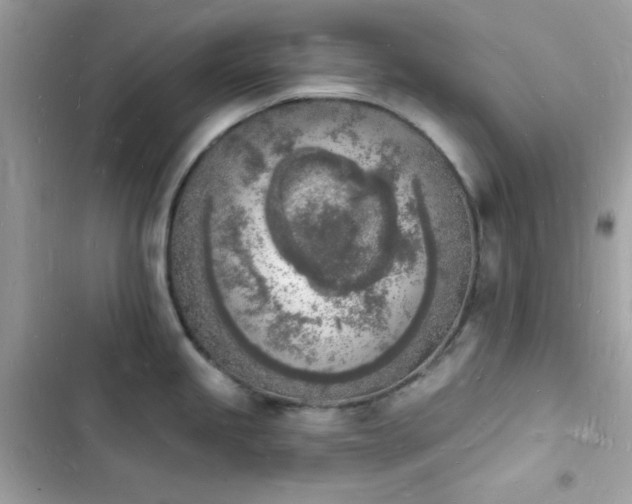 X0000103971245200809191527