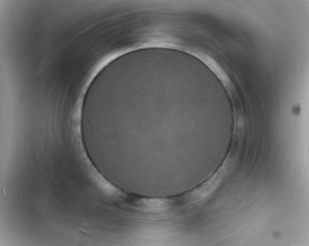 X0000103971246200809191527